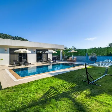 David In Gocek-inlice פאטהיה