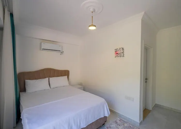 Vila David In Gocek-inlice