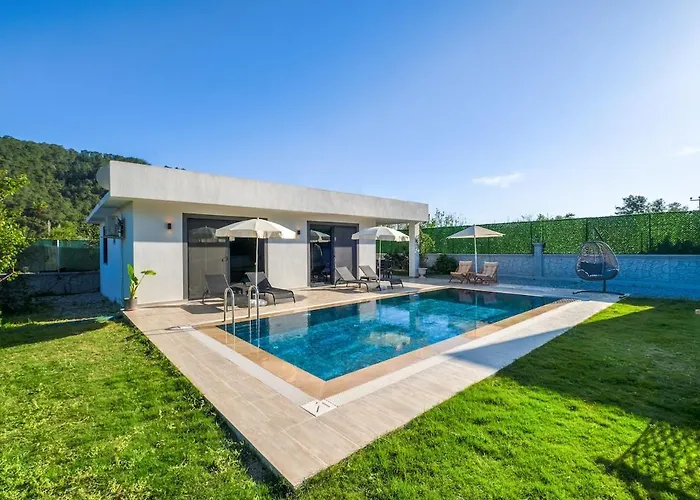 Vila David In Gocek-inlice